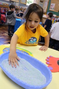 IMG_6524 (Copy)